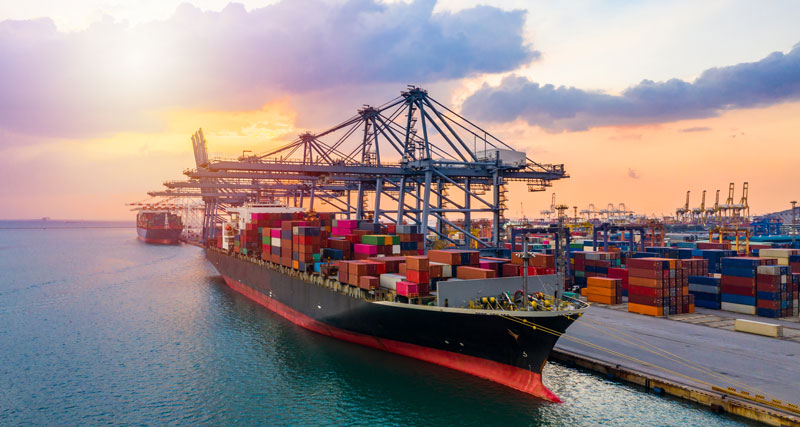 Import & Market Entry
